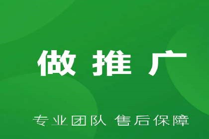 百度竞价广告运营全解析：成功案例揭秘